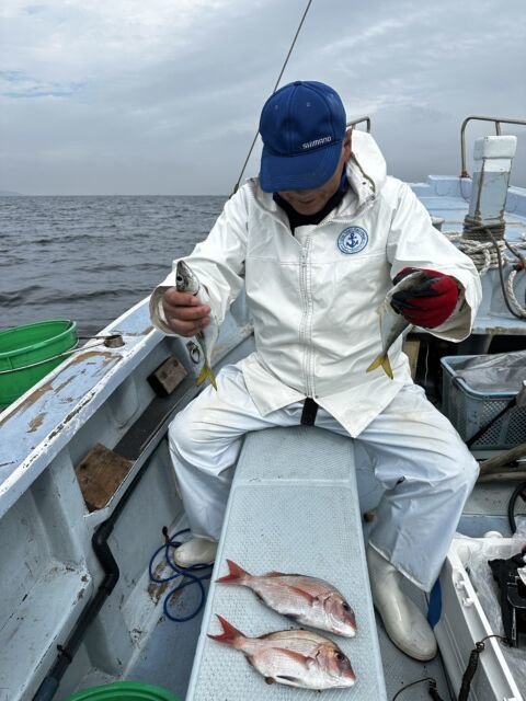 マダイ・アジ(マアジ)