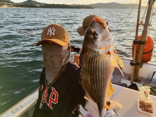 キビレ(キチヌ)