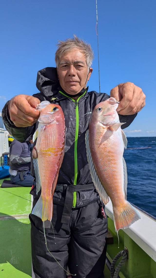 アマダイ(アカアマダイ)