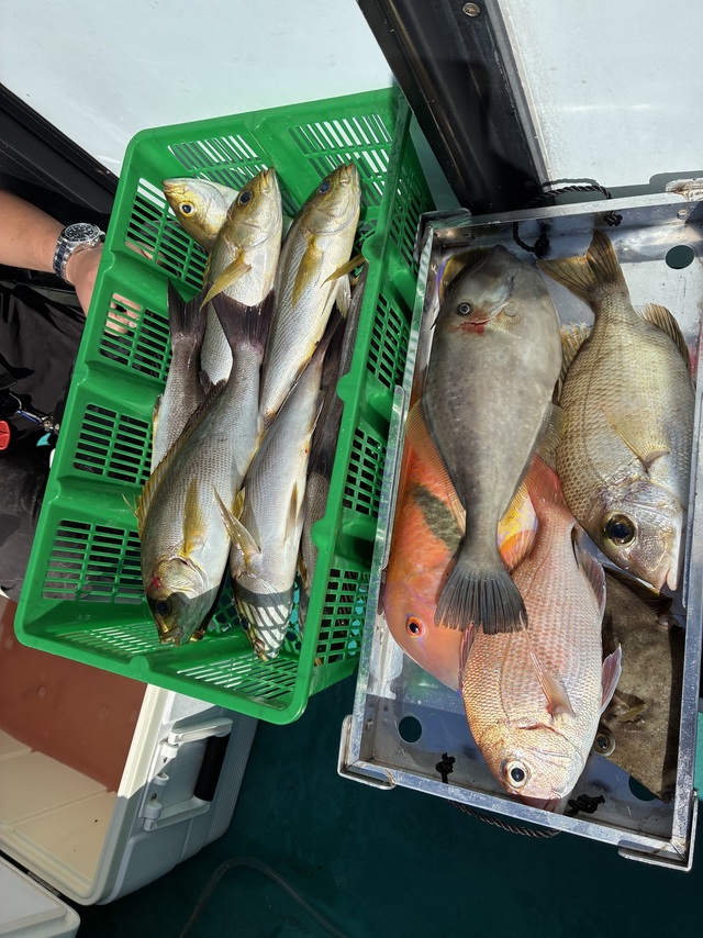 チダイ・メイチダイ