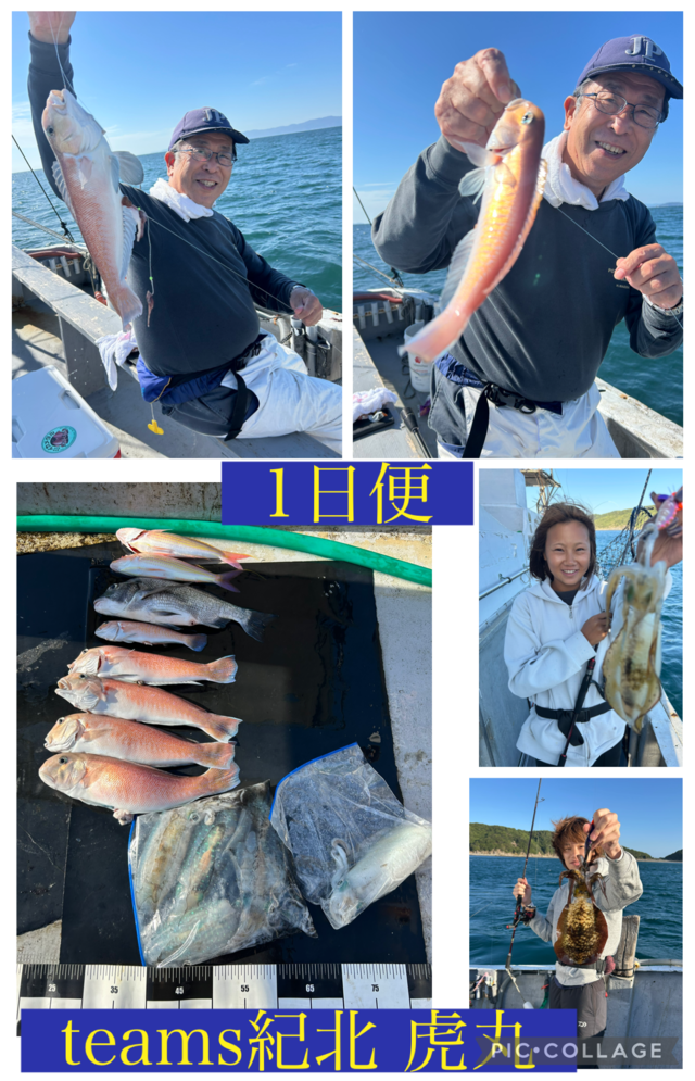 シロアマダイ・アオリイカ