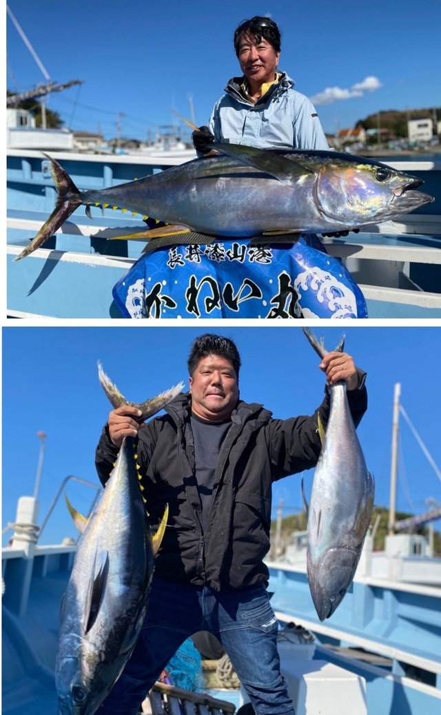 キハダマグロ(キハダ)・キメジ(キハダ)