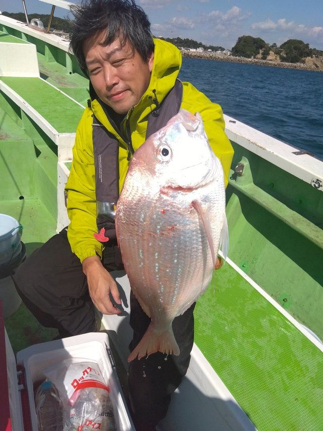 ハナダイ(チダイ)