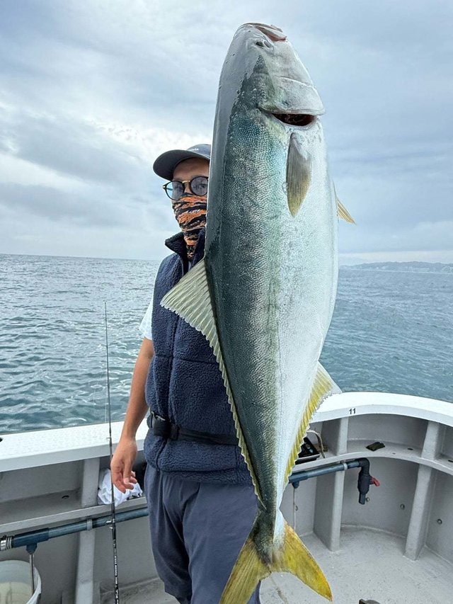 サンパク(ブリ)