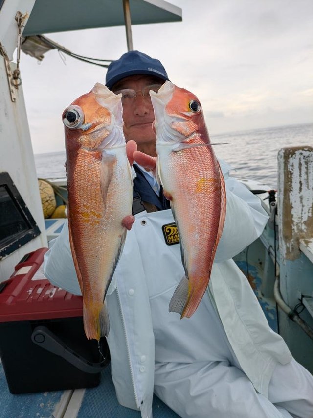 アマダイ(アカアマダイ)