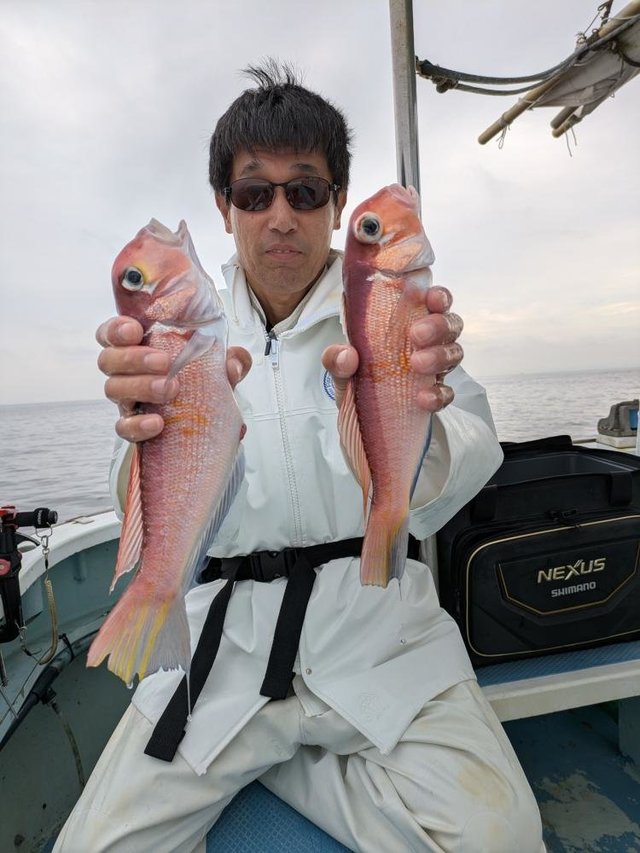 アマダイ(アカアマダイ)