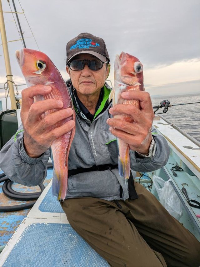 アマダイ(アカアマダイ)