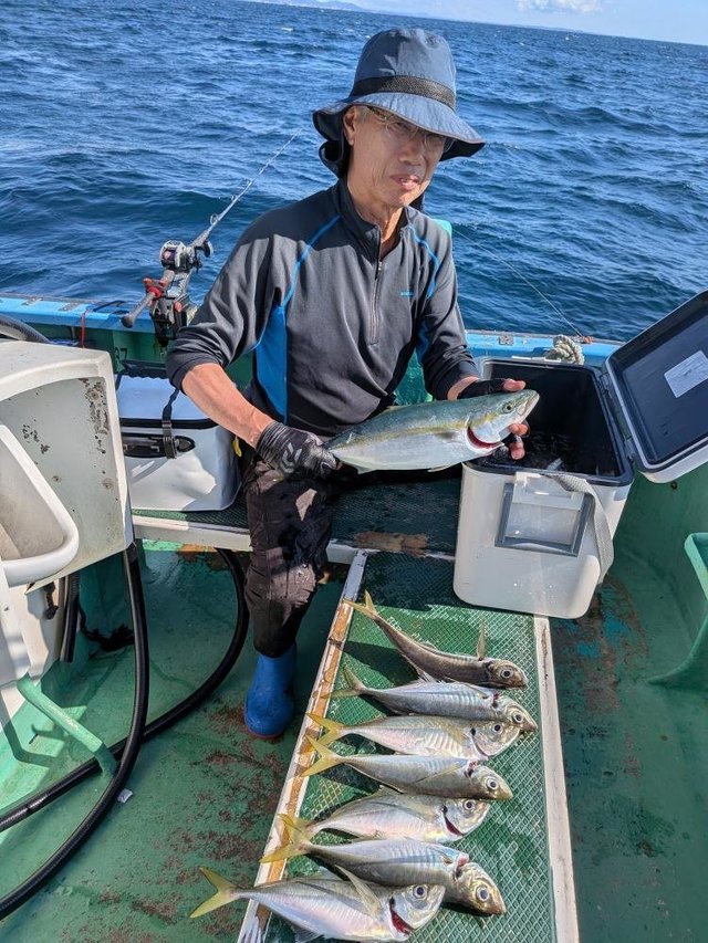 アジ(マアジ)・マルアジ・イナダ(ブリ)
