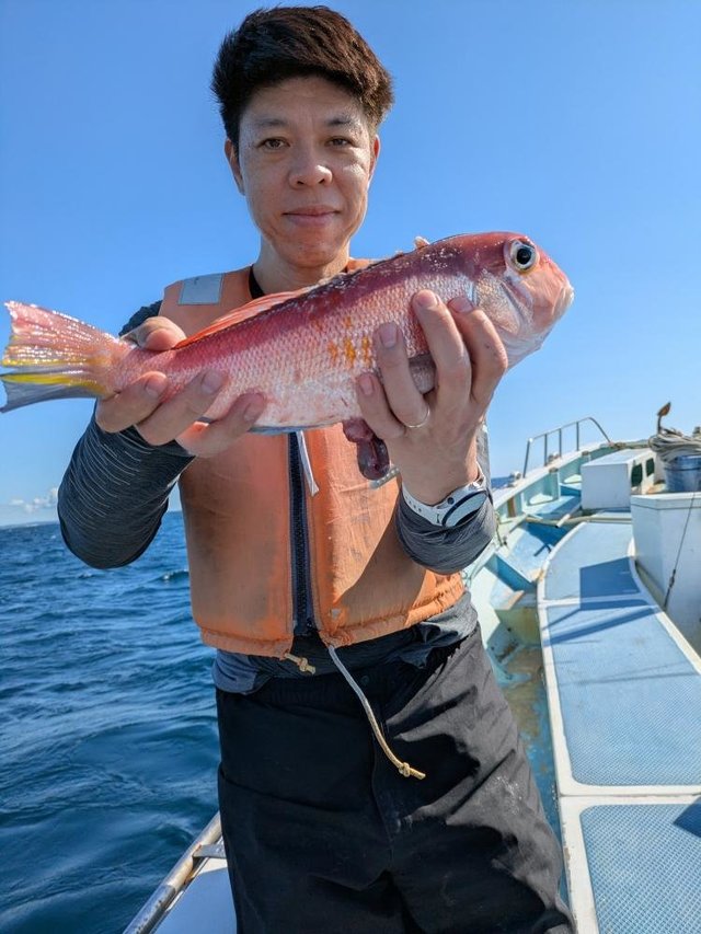 アマダイ(アカアマダイ)