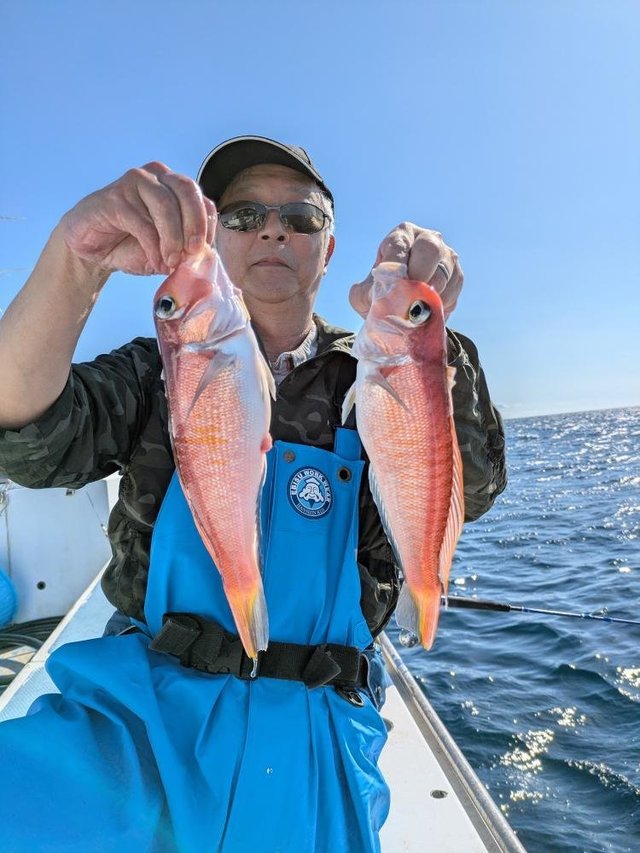 アマダイ(アカアマダイ)