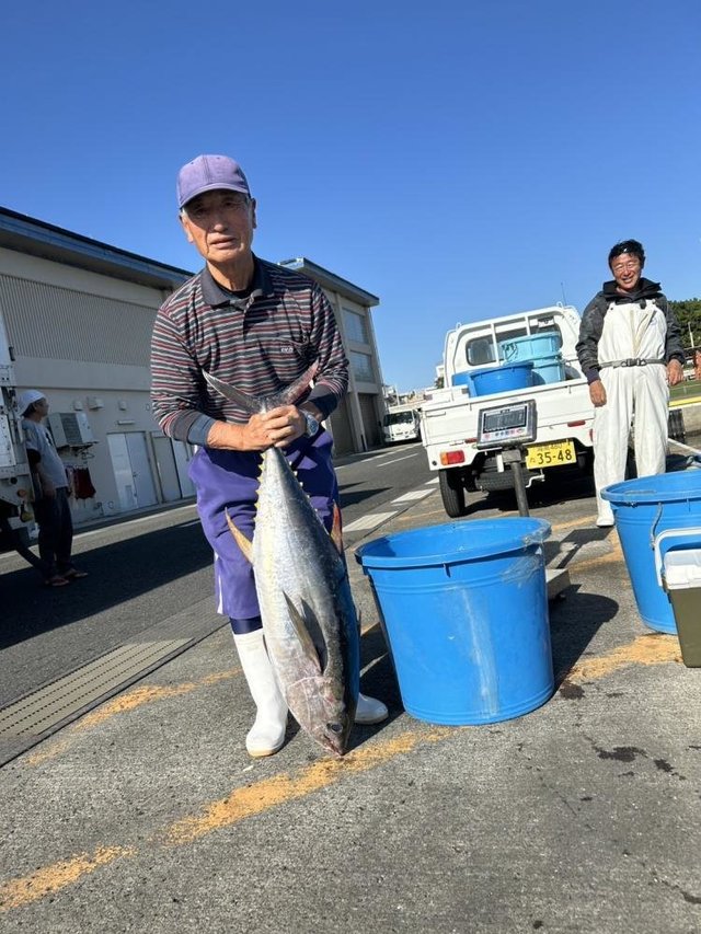 キメジ(キハダ)