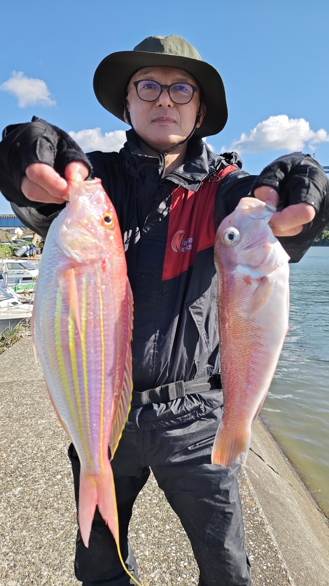 シロアマダイ・イトヨリ(イトヨリダイ)