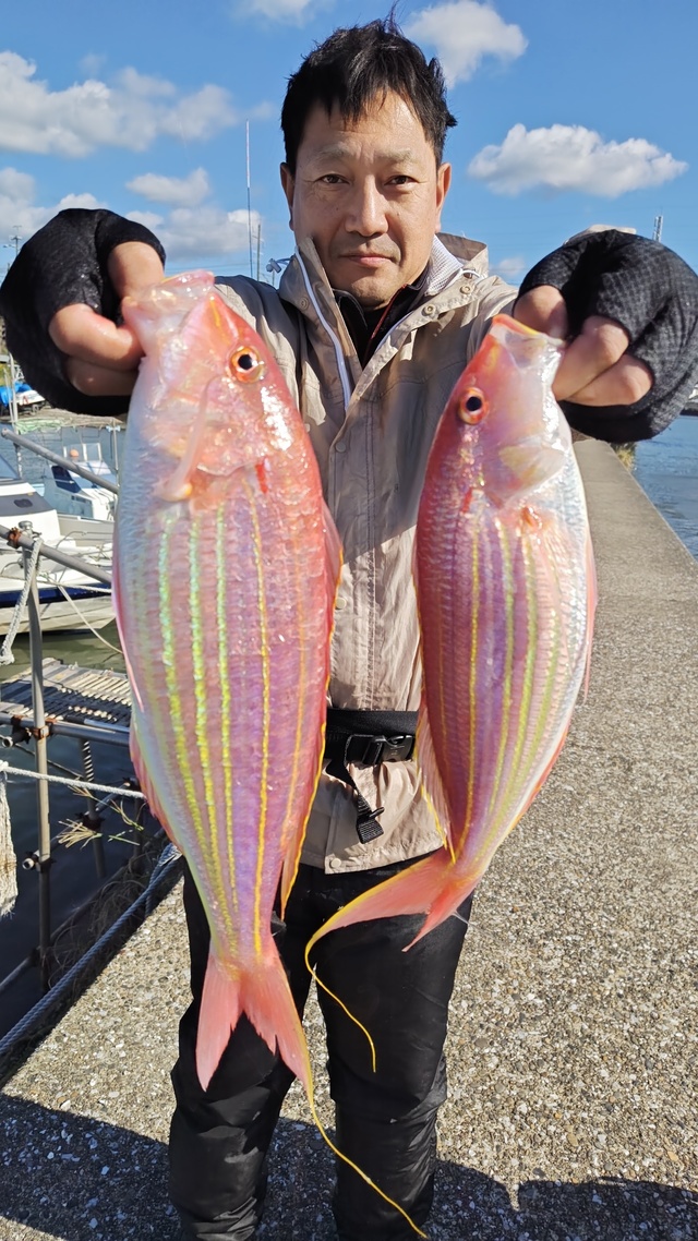 イトヨリ(イトヨリダイ)