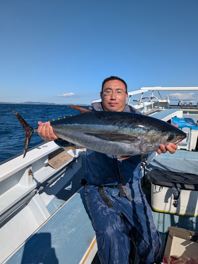 キメジ(キハダ)