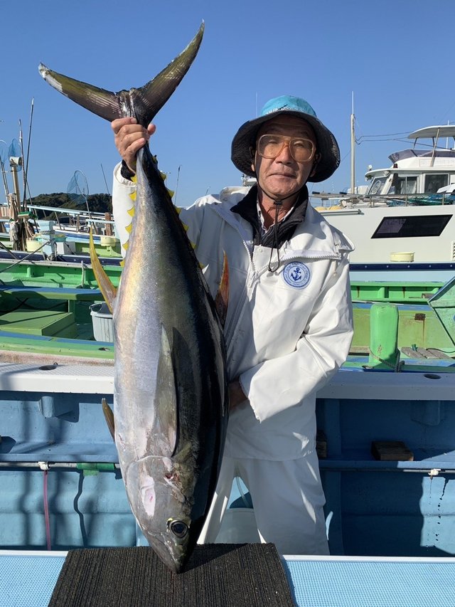 キハダマグロ(キハダ)