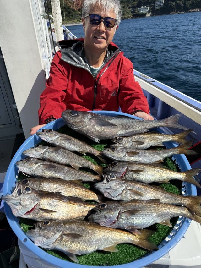 クロムツ・スミヤキ(クロシビカマス)・メダイ