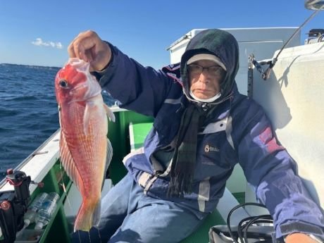 アマダイ(アカアマダイ)