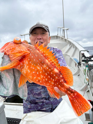 カンコ(ウッカリカサゴ)