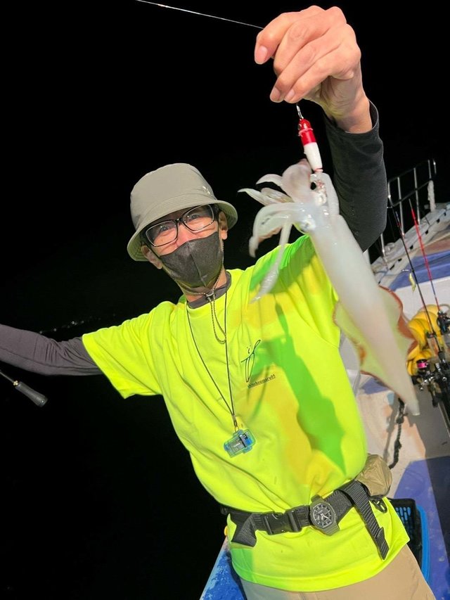 マルイカ(ケンサキイカ)