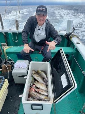 イサギ(イサキ)