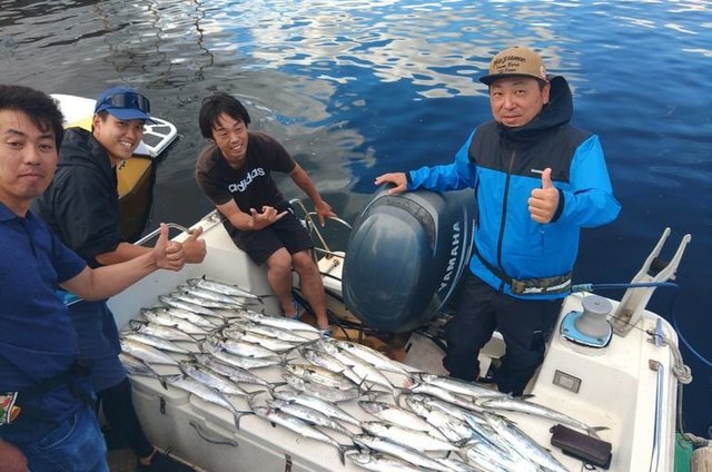 サゴシ(サワラ)・タチウオ・ハモ