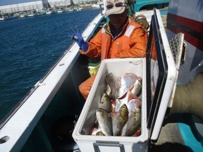 チダイ・ツバス(ブリ)・ハマチ(ブリ)・イサギ(イサキ)