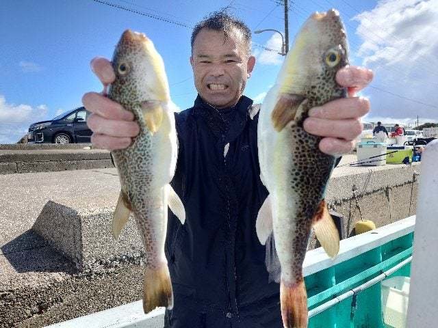 ショウサイフグ