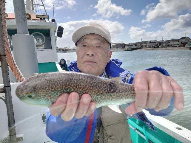 ショウサイフグ