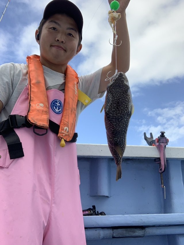 ショウサイフグ