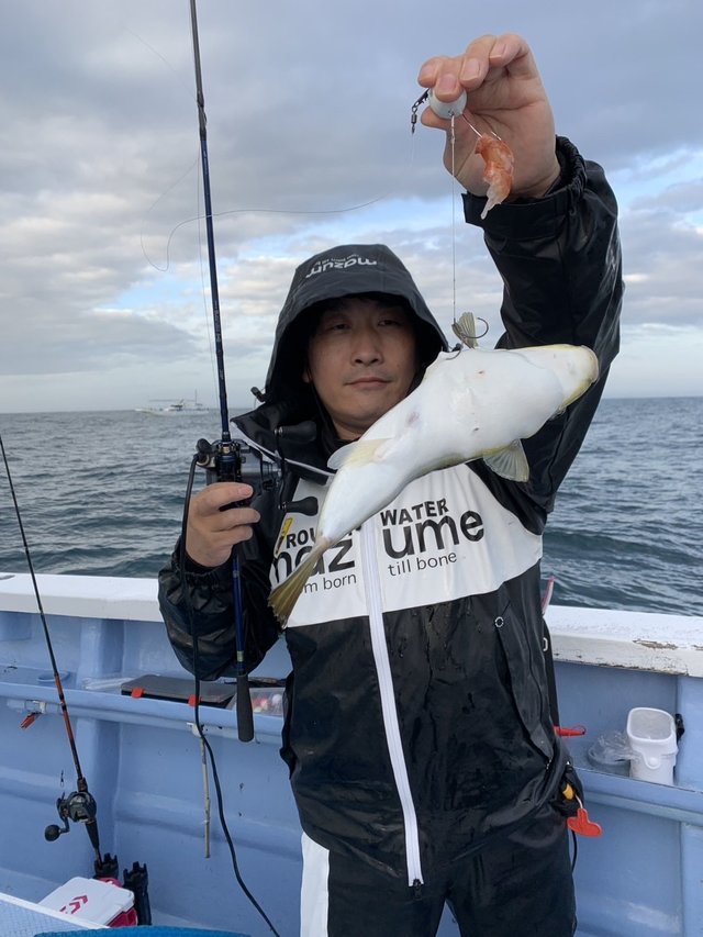 ショウサイフグ