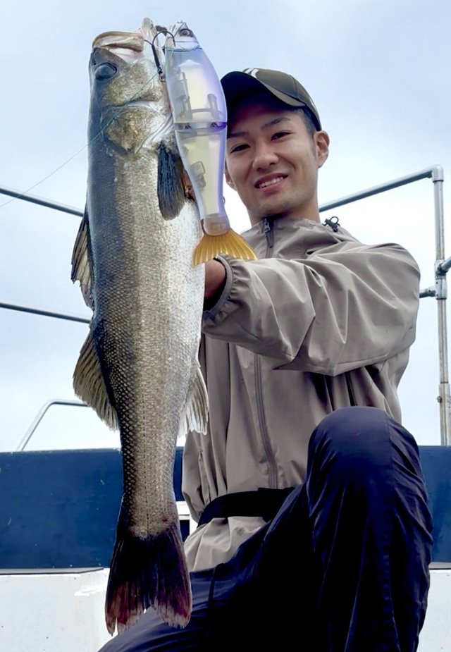 シーバス(スズキ)