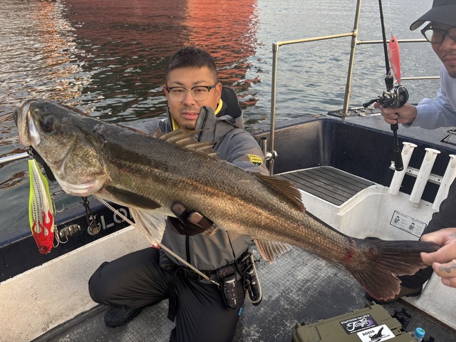 シーバス(スズキ)