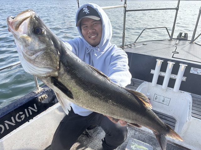 シーバス(スズキ)