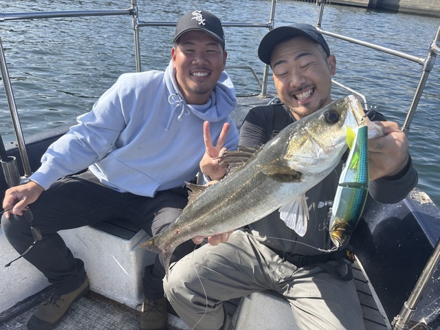 シーバス(スズキ)