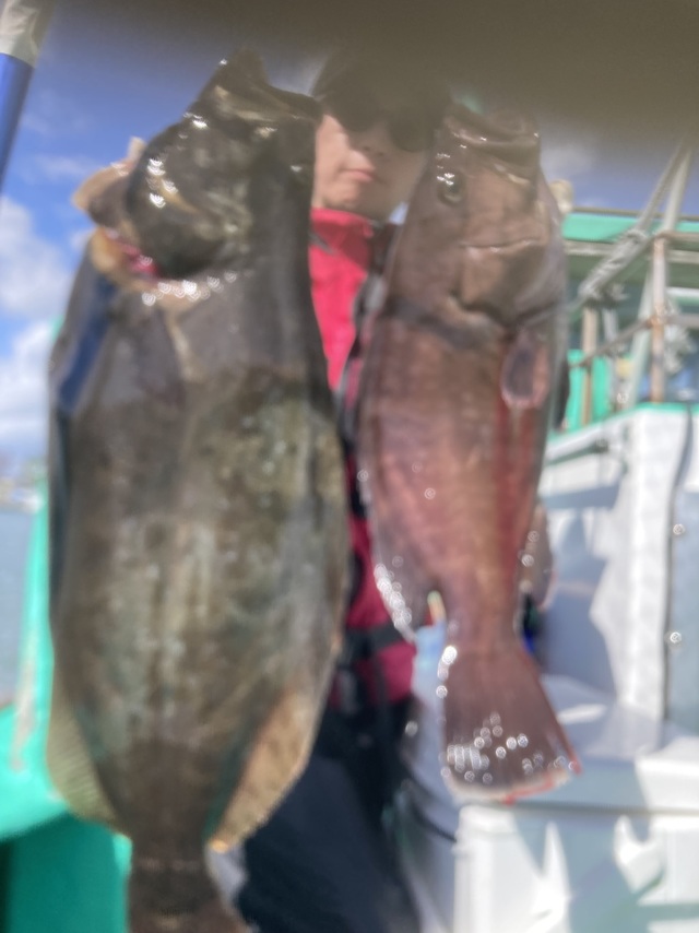 マハタ・ヒラメ