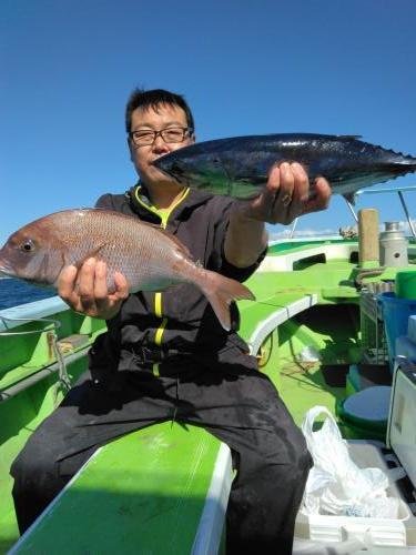 マダイ・ホンガツオ(カツオ)