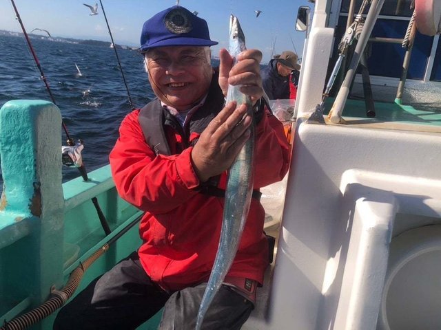 タチ(タチウオ)