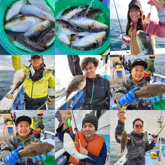 ショウサイフグ