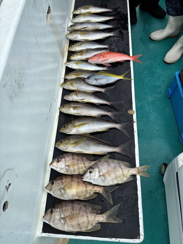 マダイ・イシガキダイ・メイチダイ