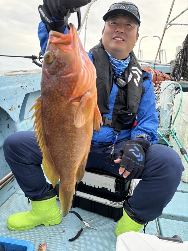 アコウ(キジハタ)