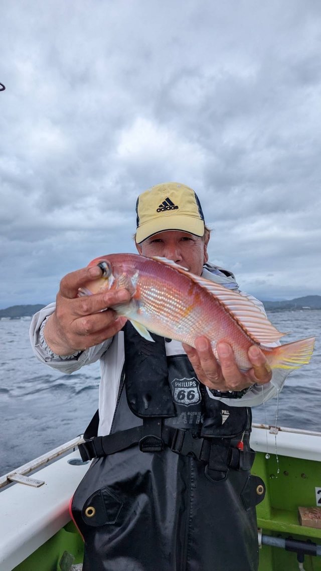 アマダイ(アカアマダイ)