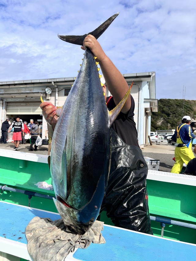 マグロ(キハダ)