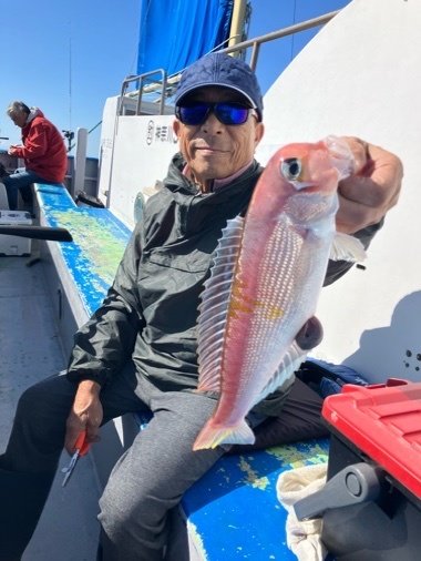 アマダイ(アカアマダイ)