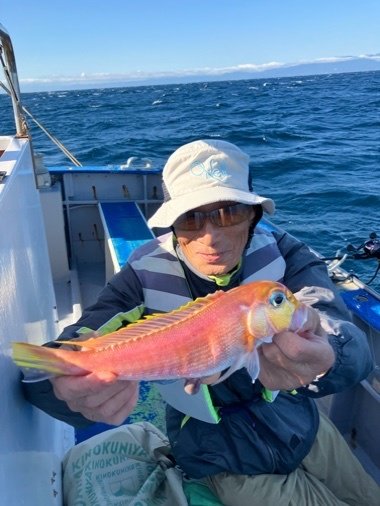 アマダイ(アカアマダイ)