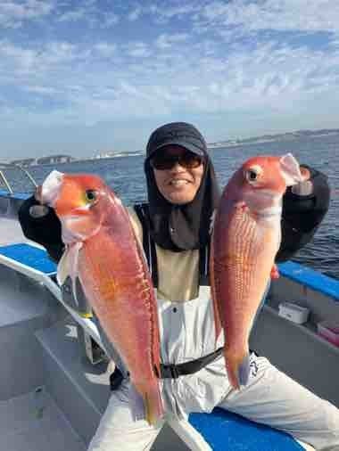 アマダイ(アカアマダイ)