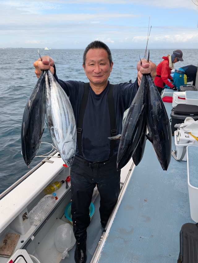 ホンガツオ(カツオ)