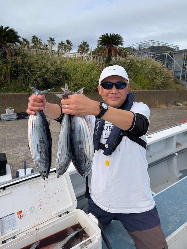 ホンガツオ(カツオ)