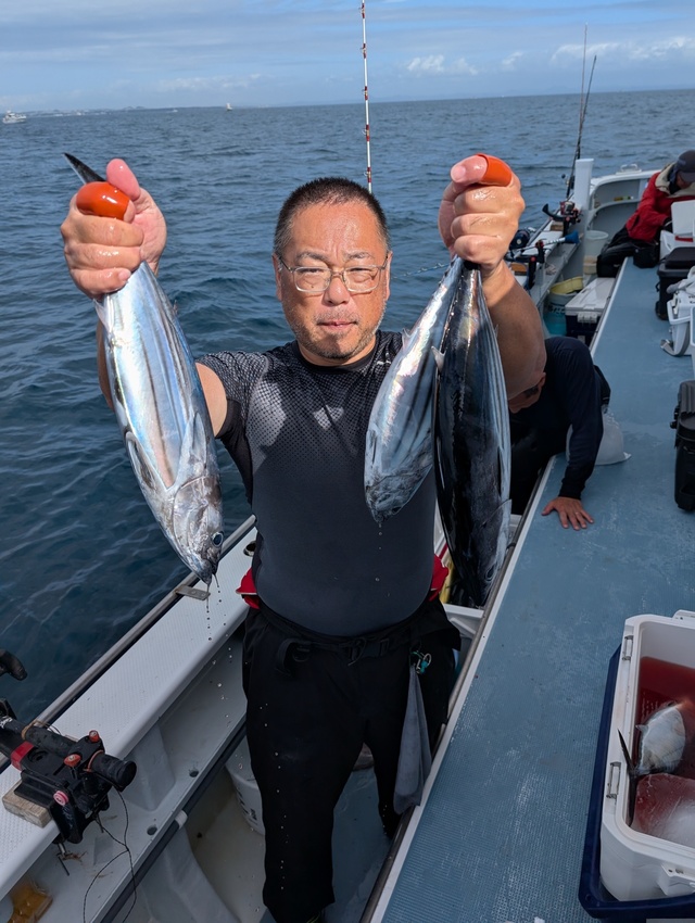 ホンガツオ(カツオ)