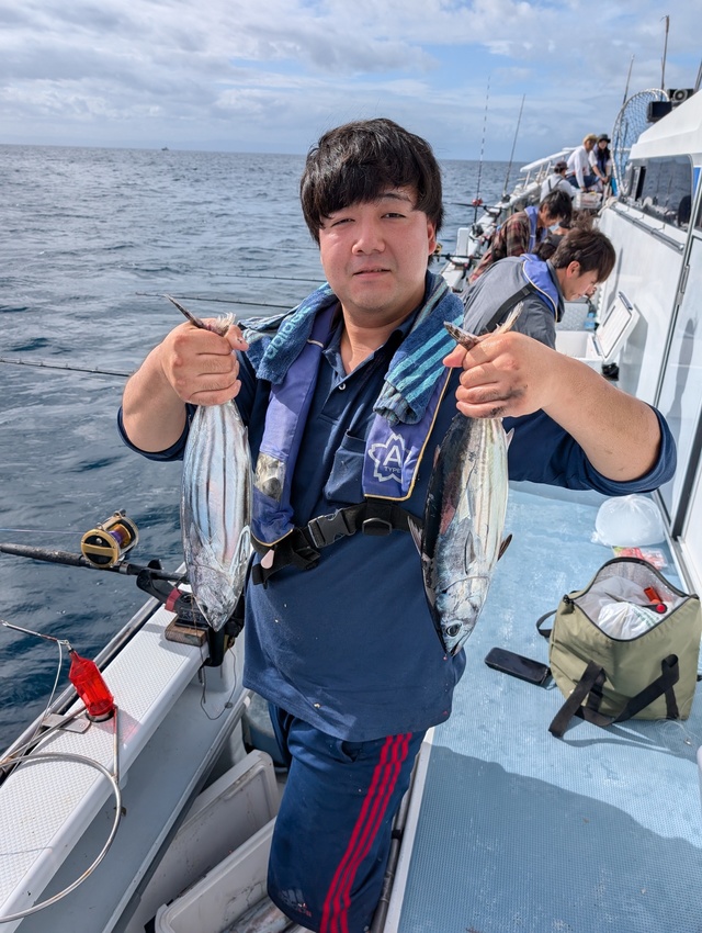 ホンガツオ(カツオ)