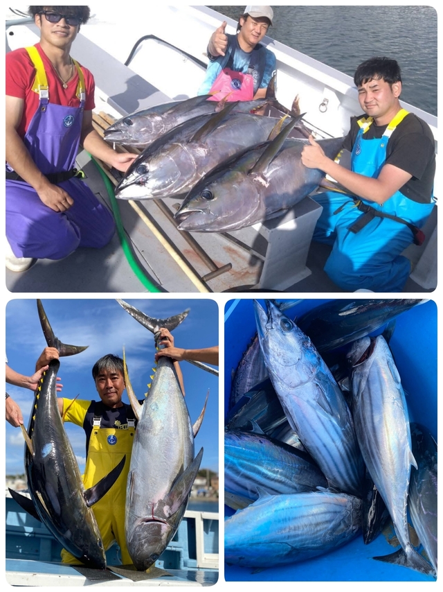 キハダマグロ(キハダ)